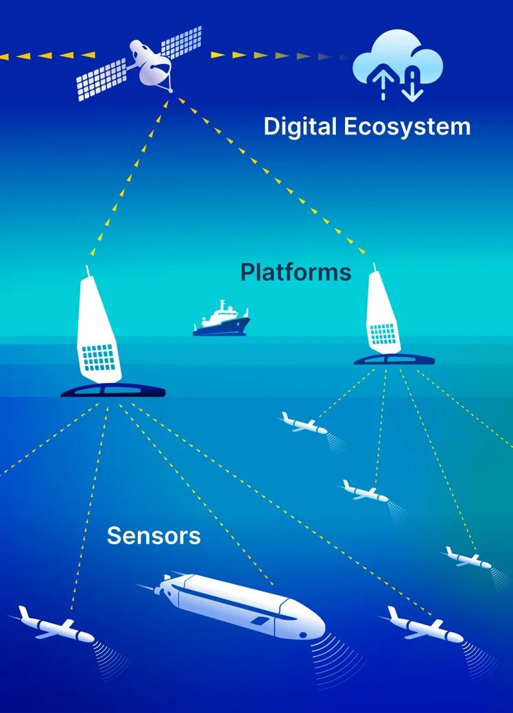 Diagram of FRMI infrastructure including platforms, sensors and digital