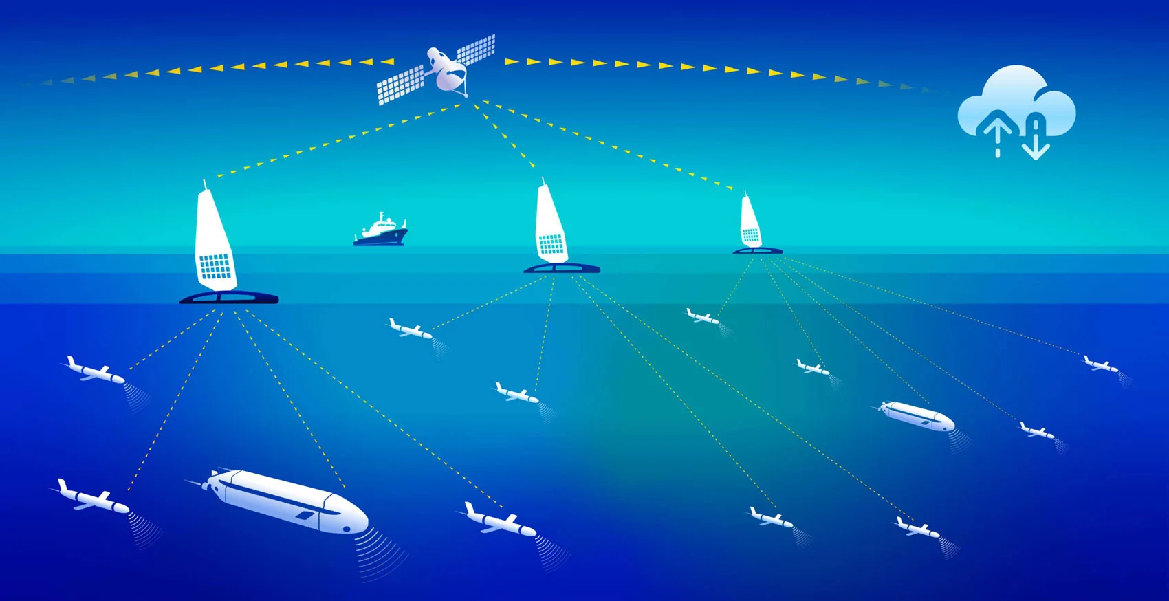 Diagram of FRMI infrastructure including platforms, sensors and digital